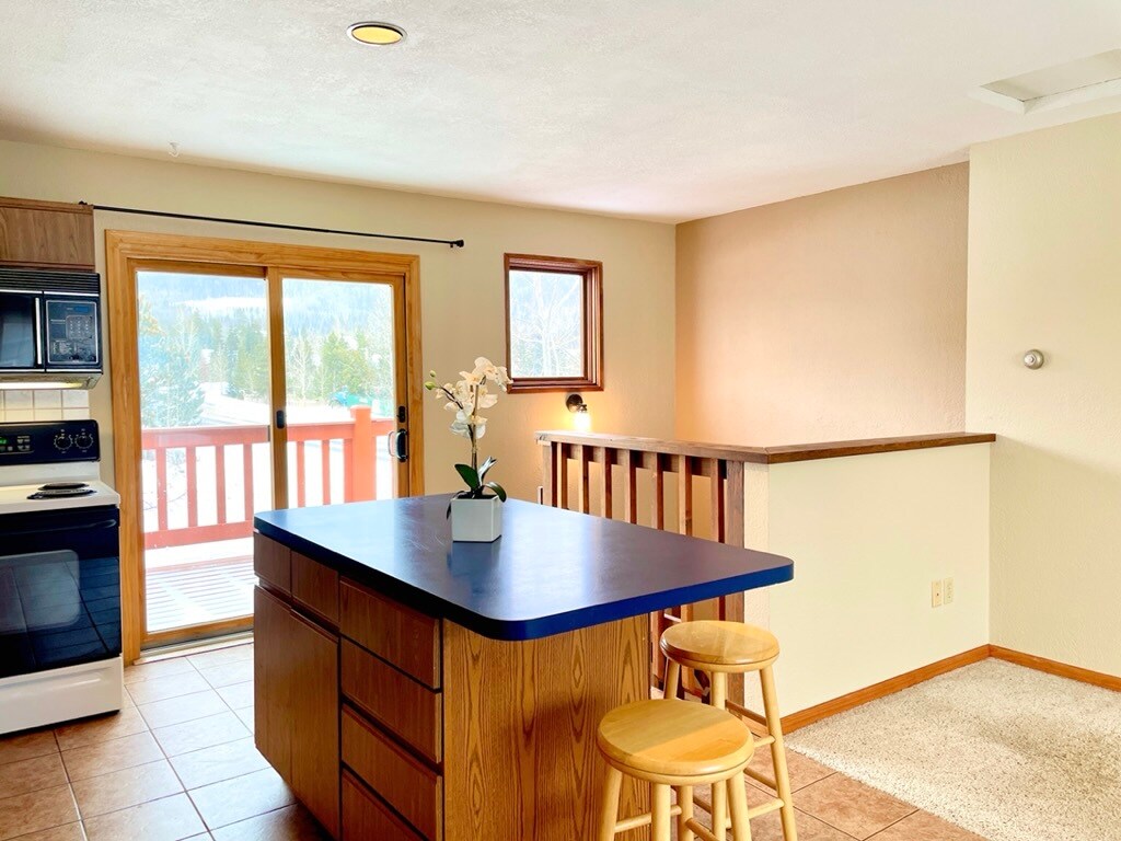 501 Teller St, Frisco, CO 80443 Townhome Rentals in Frisco CO