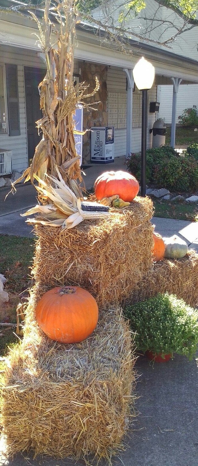 Building Photo - 190 Shelton Rd