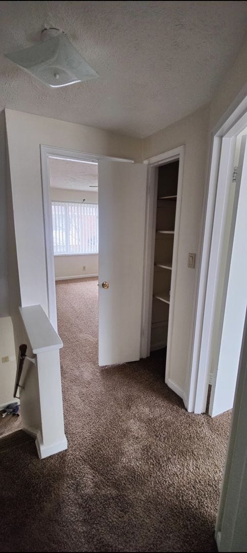 Building Photo - Cozy 2 bed 1 bath  townhouse with attached...