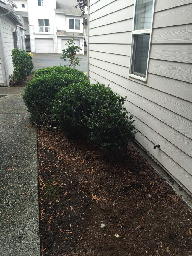 Fairway Apartments Rentals Edmonds, WA