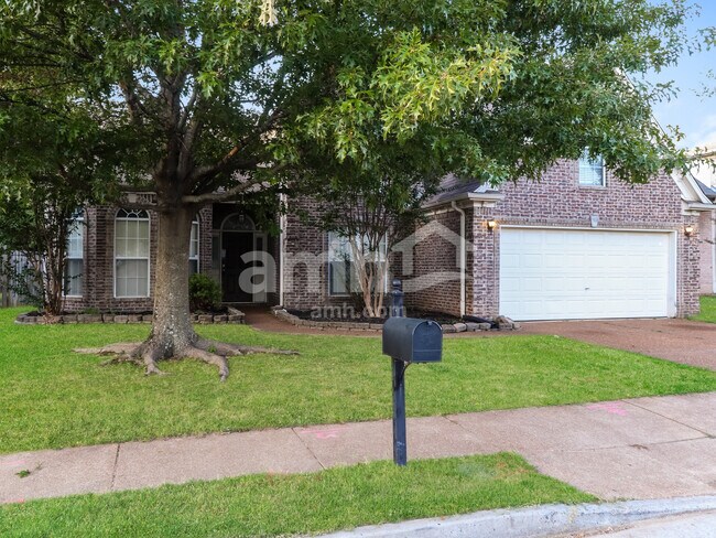 Building Photo - 5664 Tulip Grove Dr