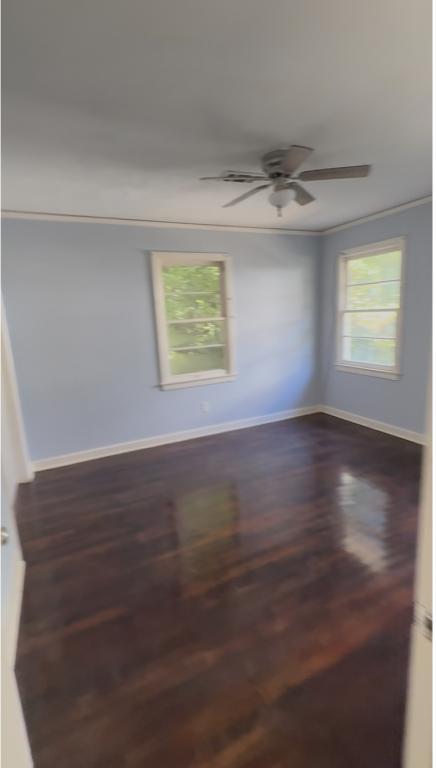Building Photo - 1515 Wilhurst St