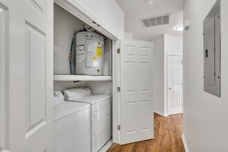 Interior Photo - Steeplechase At Malta