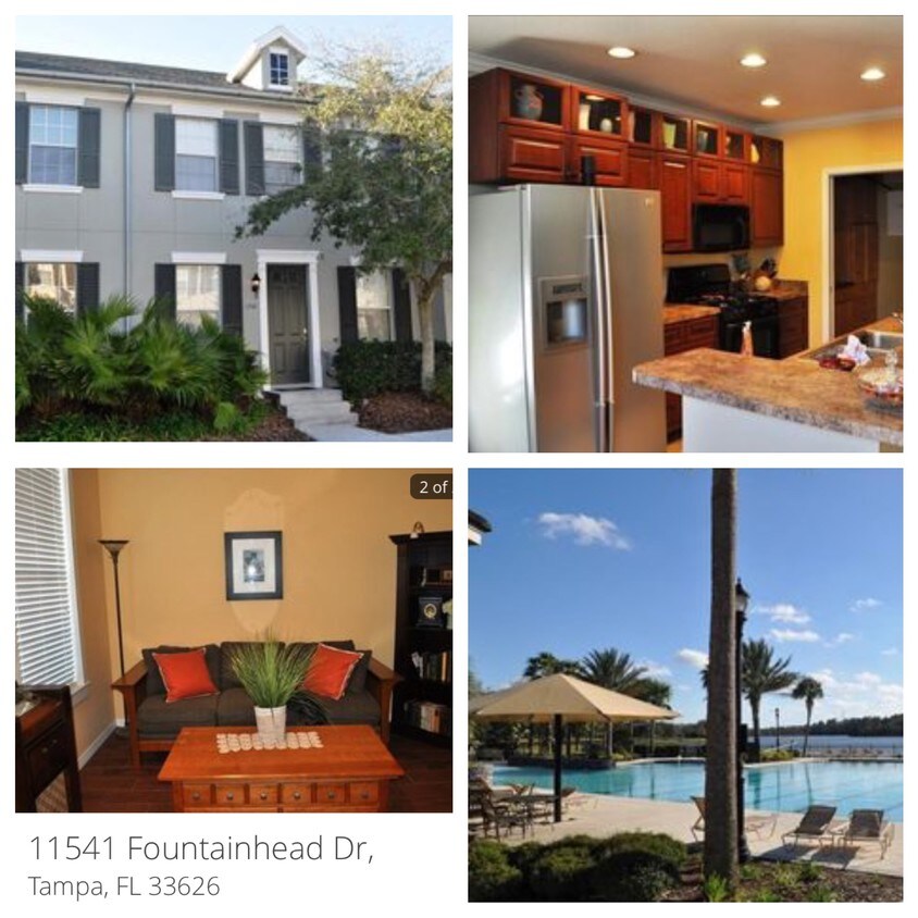 11541 Fountainhead Dr, Tampa, FL 33626 Townhome Rentals in Tampa FL