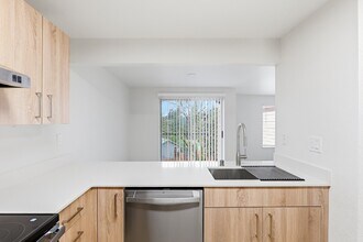 Interior Photo - The Finch Apartments