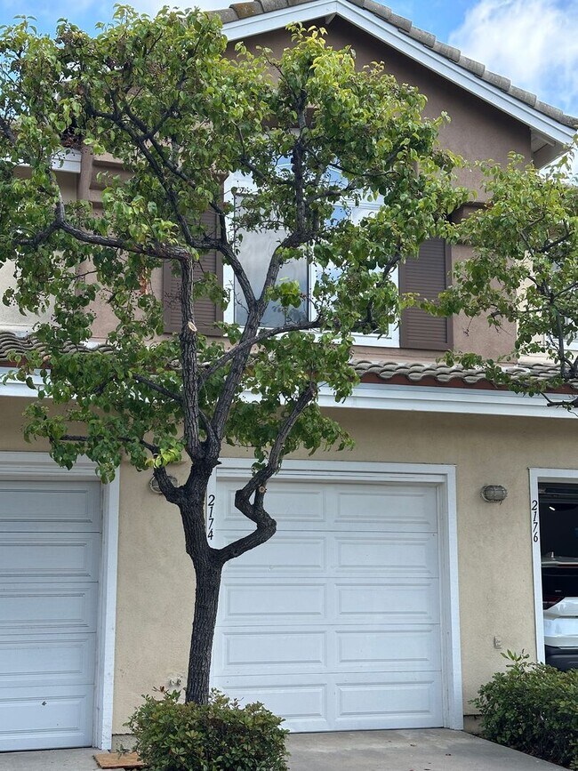 Foto del edificio - Centrally Located 2 Bedroom & 2 Bathroom Townhome w/ Garage in Cabo Bahia Community