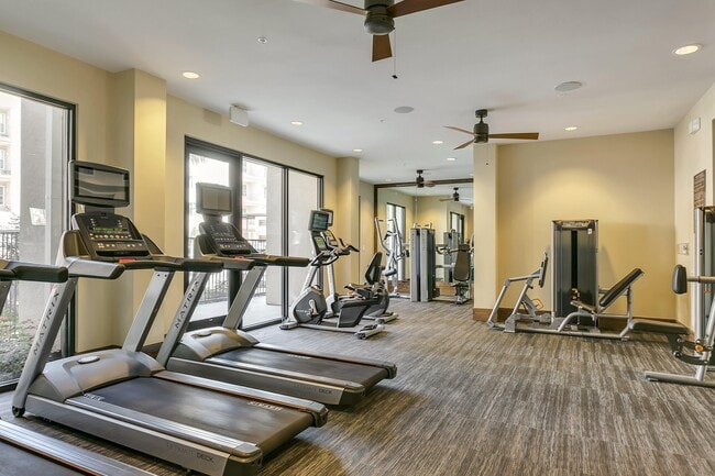 Building Photo - The Cayman Las Colinas
