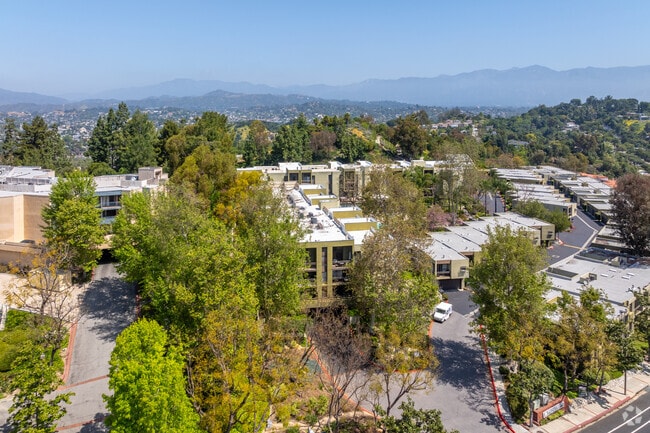 Alt Building - Temple Terrace
