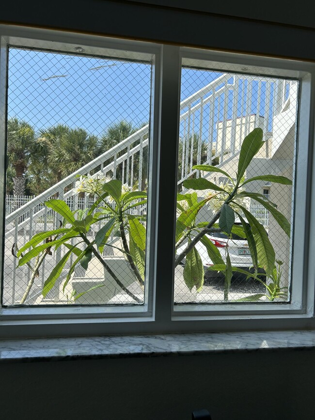 Foto del edificio - 441 Ocean Park Ln
