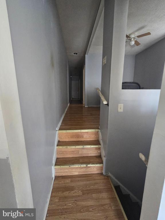 Foto del edificio - 7016 Elmwood Ave