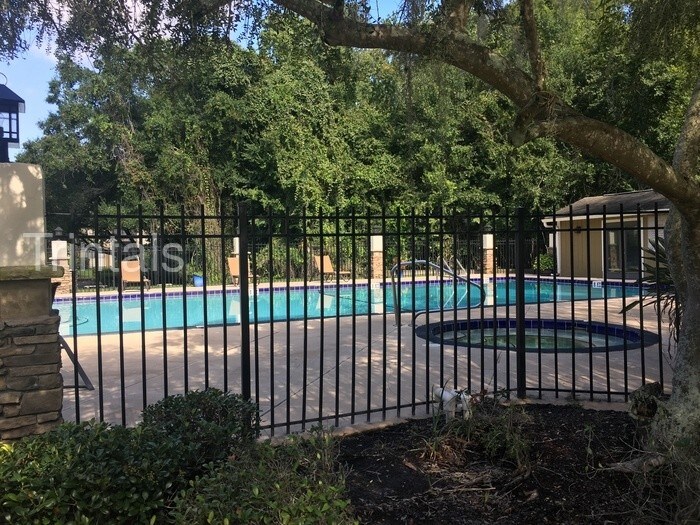 Primary Photo - Well maintained condo within minutes of usf.