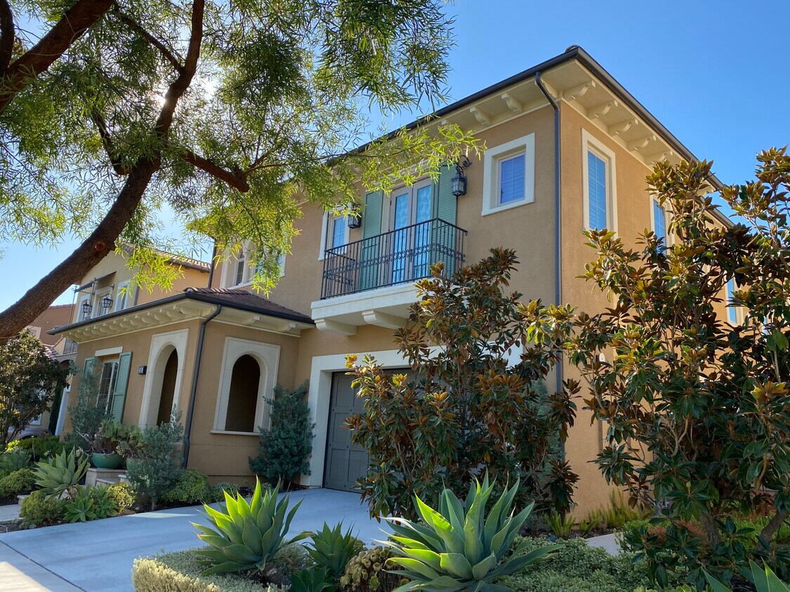 Foto principal - 11 Zephyr