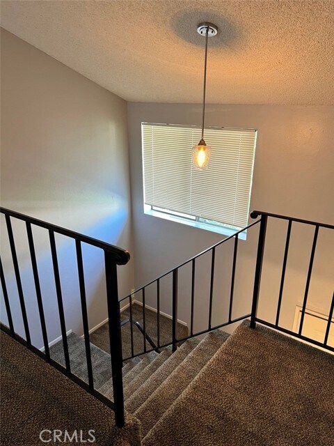 Foto del edificio - 3231 Triumph Ln