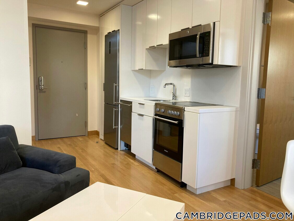 Primary Photo - 115 Mt Auburn St