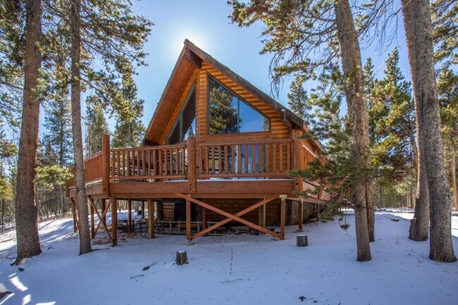 Building Photo - Stunning Fairplay Cabin available now!