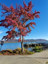 Building Photo - 177 W Parmenter St