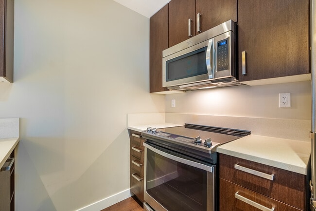Building Photo - Shannon Mews & Apartments