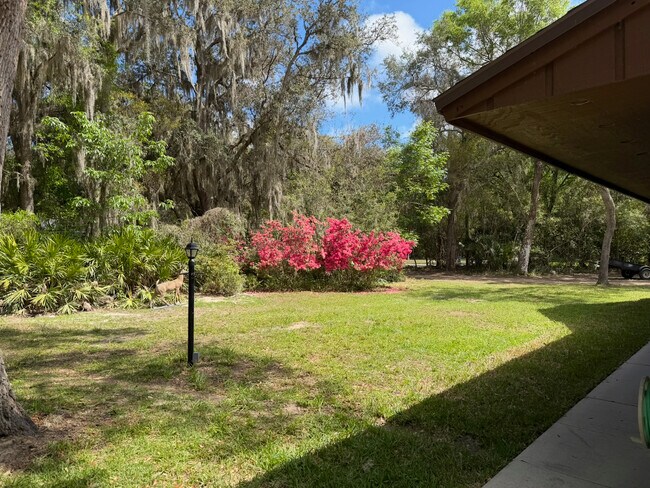Foto del edificio - 3660 Crazy Horse Trail