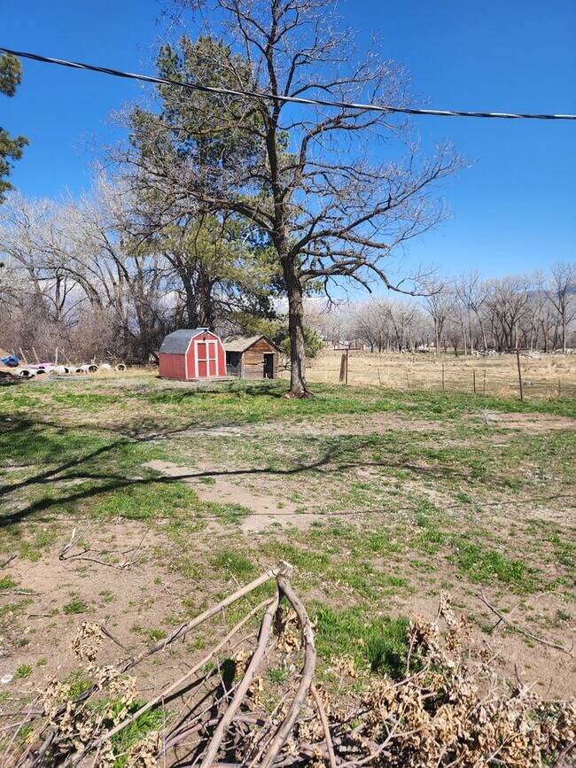 Building Photo - Newly Renovated 4 bedroom with land!