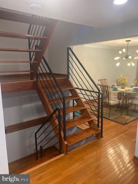 Foto del edificio - 7 Capland Ct