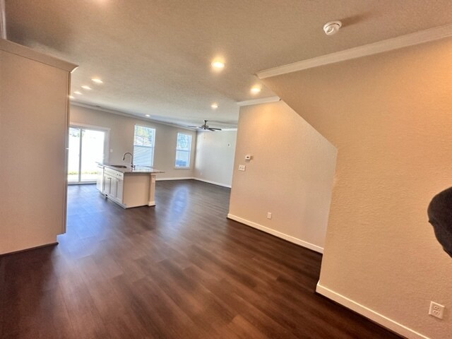 Foto del edificio - 307 Sikeston Ln