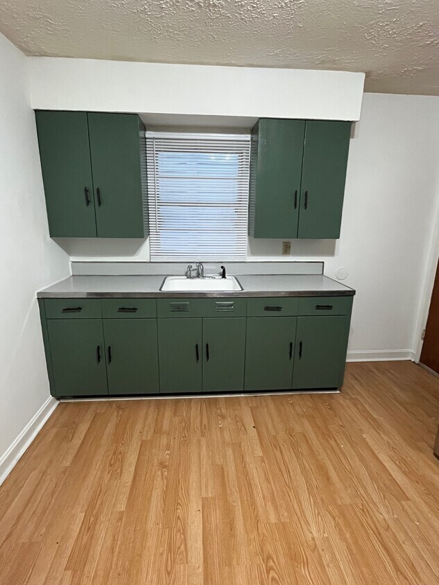 updated kitchen - 425 Shelby Pky