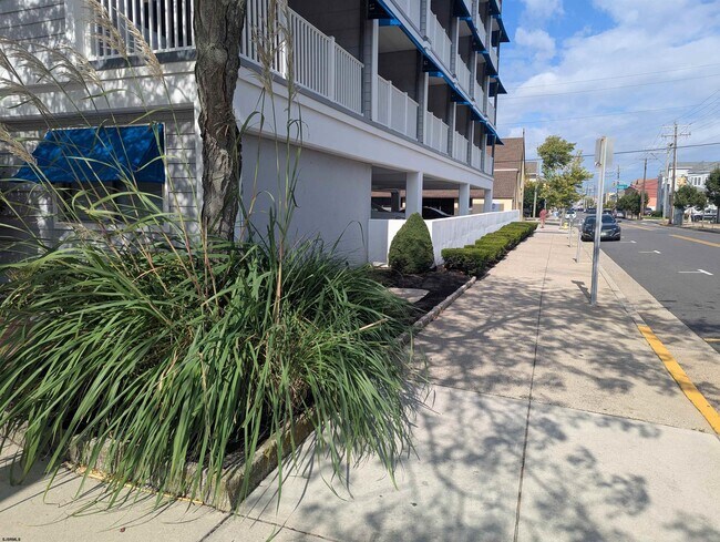 Foto del edificio - 1008 Wesley Ave