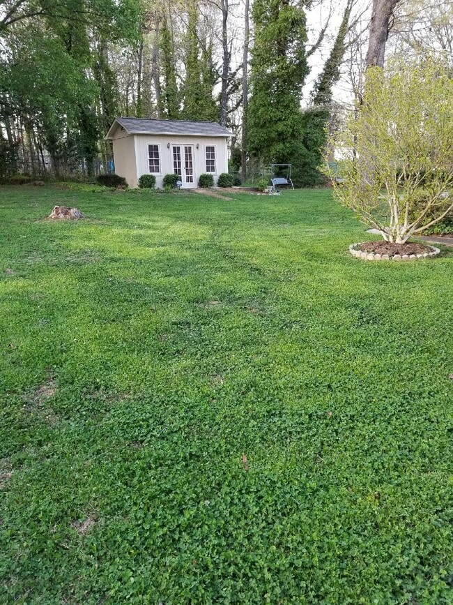 Yard in the Spring time - 2781 19th Ave NE