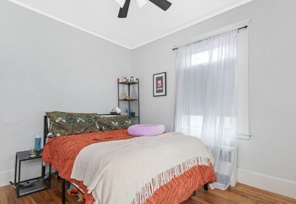 Foto del edificio - 436 Waverley Oaks Rd