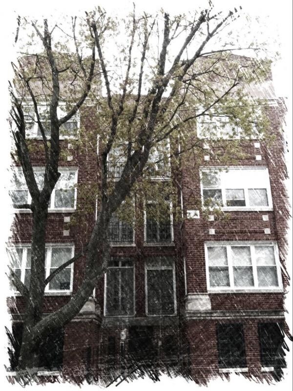 7011 S Clyde Ave, Chicago, IL 60649 House Rental in Chicago, IL