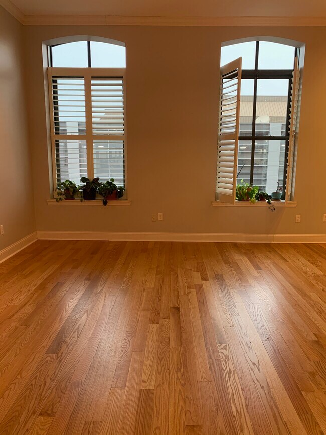 Living Room - 251 Asylum St