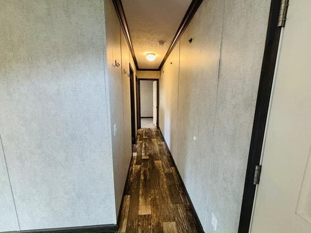 Foto del edificio - 426 Chestnut Dr