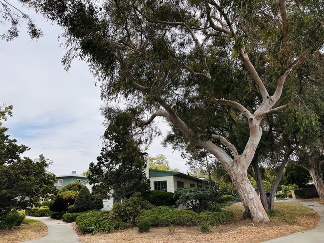 Building Photo - 5570 Village Grn