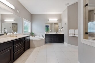 Building Photo - 19 Paloma Bend Pl