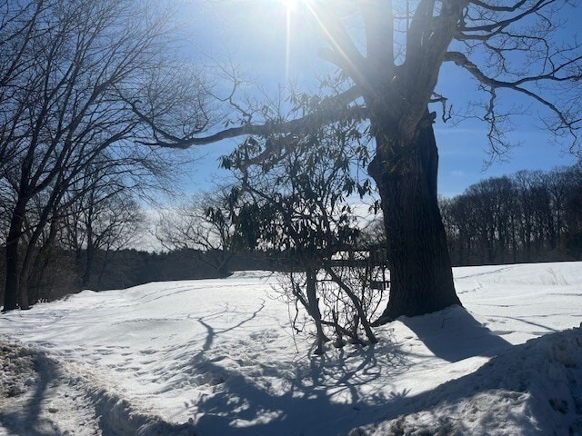 Building Photo - 89 Old Connecticut Path