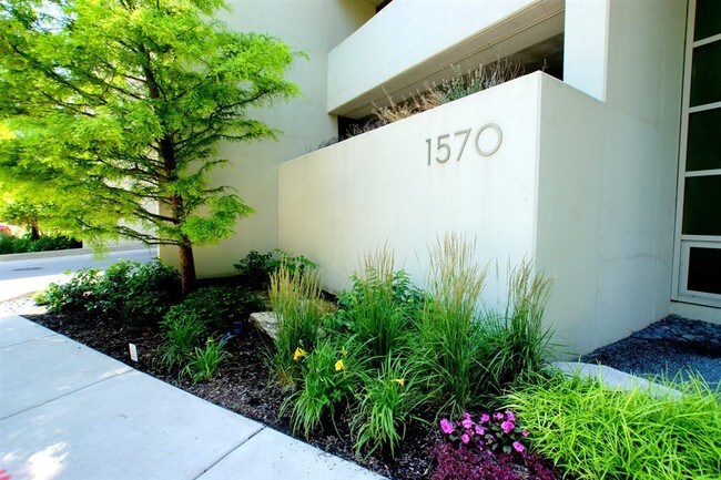 Foto del edificio - 1570 Elmwood Ave