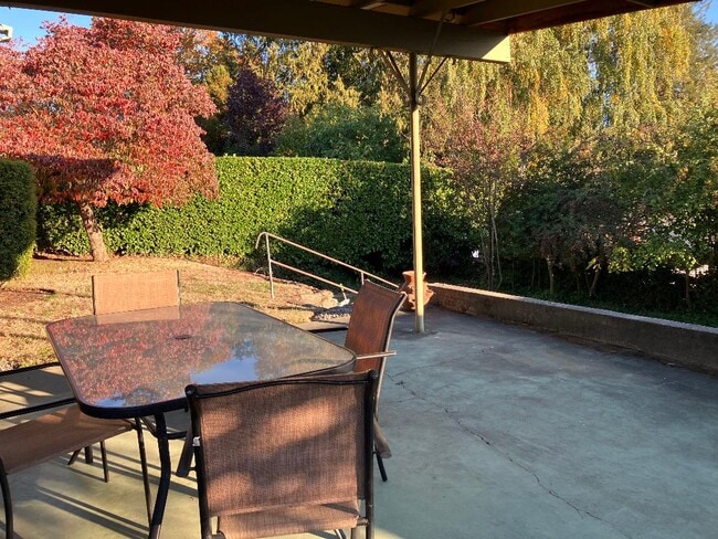 Covered patio/backyard - 2023 E 18th St