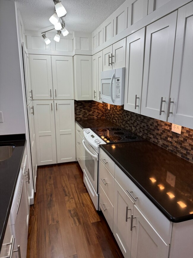 Renovated Kitchen with Quartz Countertops - 1808 Old Meadow Rd