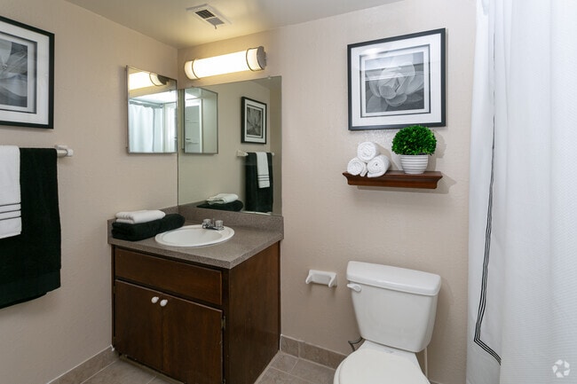 2BR-2BA_1,142sf  Master Bathroom - Woodlake Park Apartments