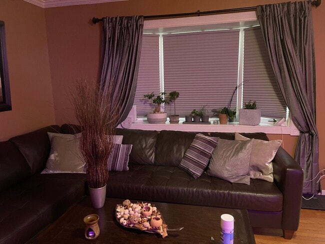 Living room - 104 Aspen Cir