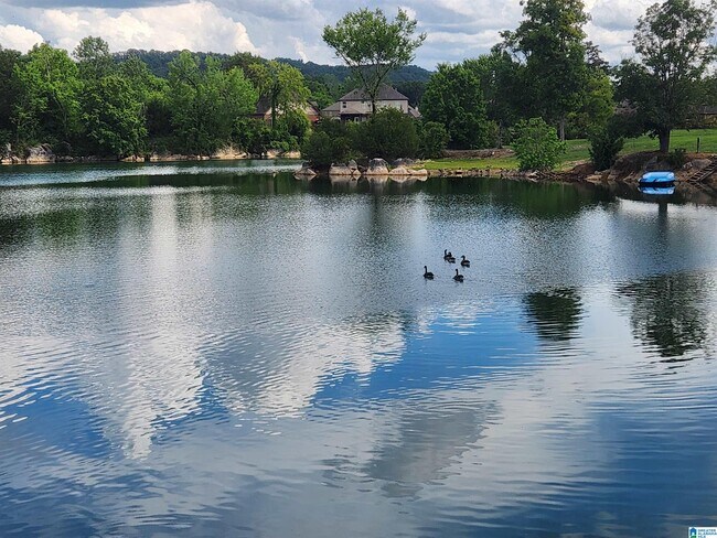 Foto del edificio - 342 Creekside Ln