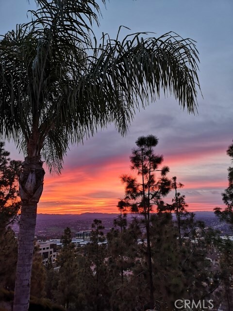 Foto del edificio - 108 Woodcrest Ln