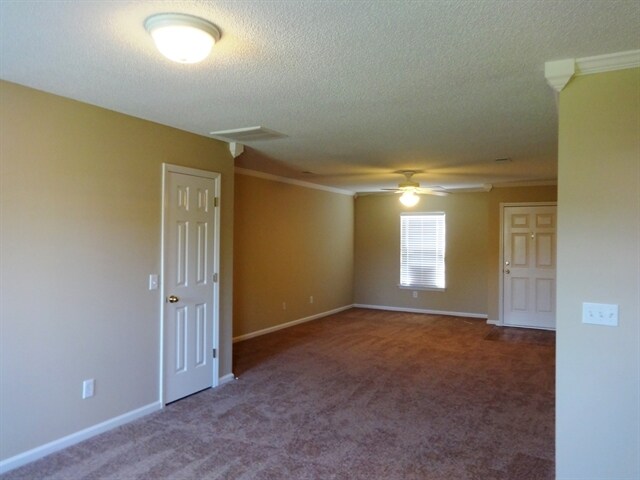 Foto del edificio - 96 Blue Jasmine Ln