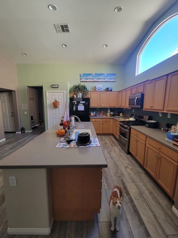 Foto del edificio - 1436 White Cloud Ln