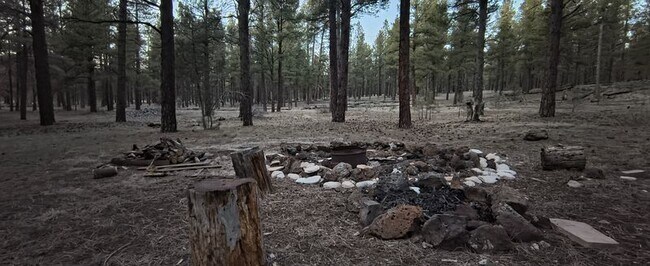 Foto del edificio - 438 Laramy Ln