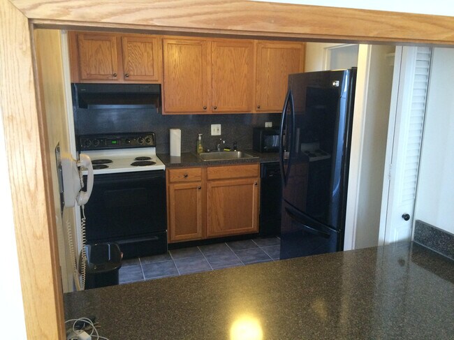 Kitchen (as viewed through breakfast bar) - 1 E University Pky