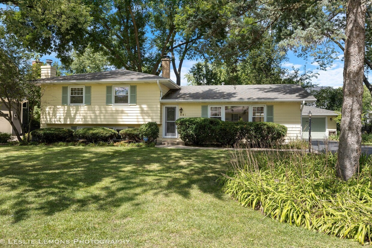 Primary Photo - 541 Cypress Dr