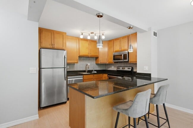 Foto del edificio - 1255 N Sandburg Terrace