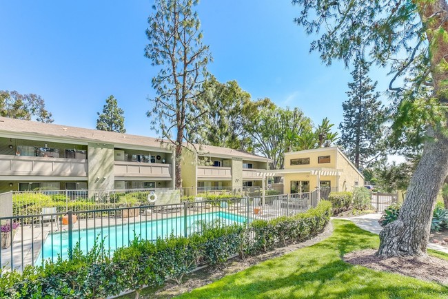 Torrey Pines Apartment Homes photo'