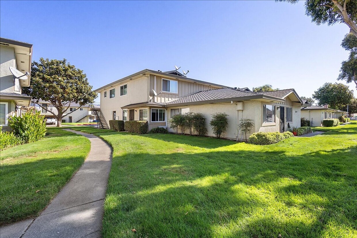 Primary Photo - 34842 Starling Dr